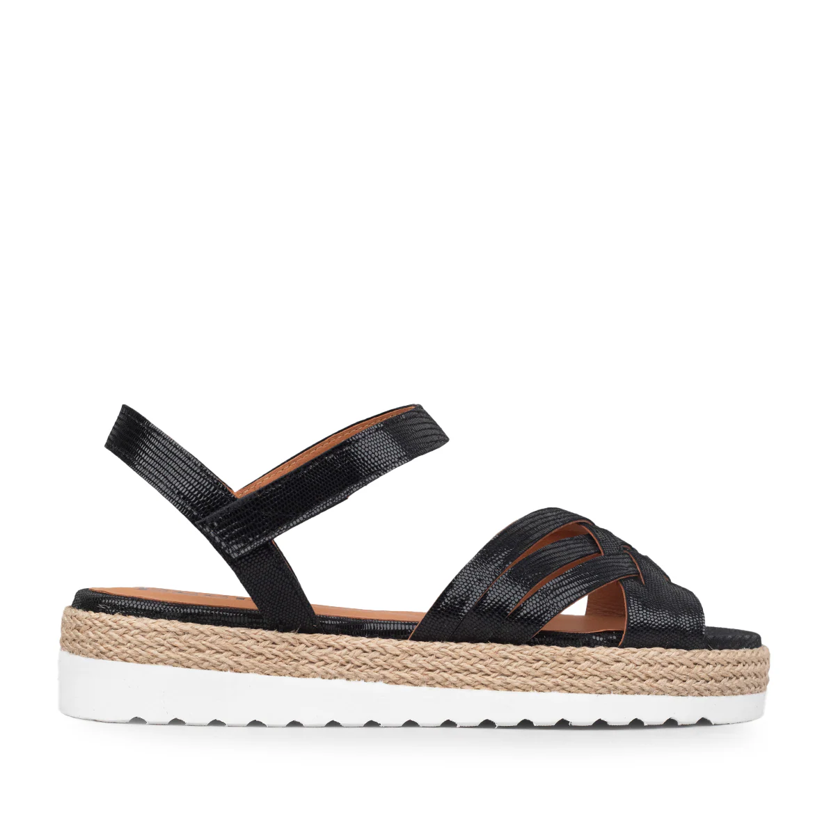 Summer Holiday on SALE